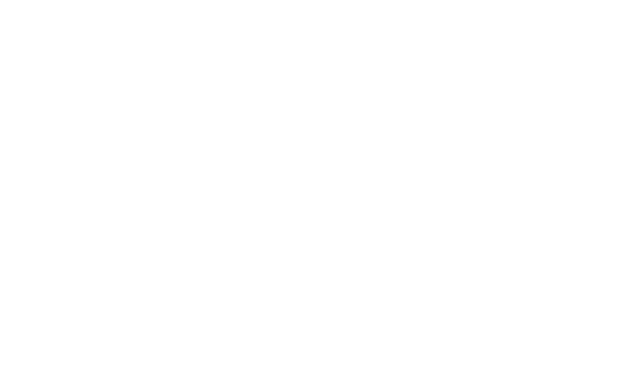 Lily's Lab